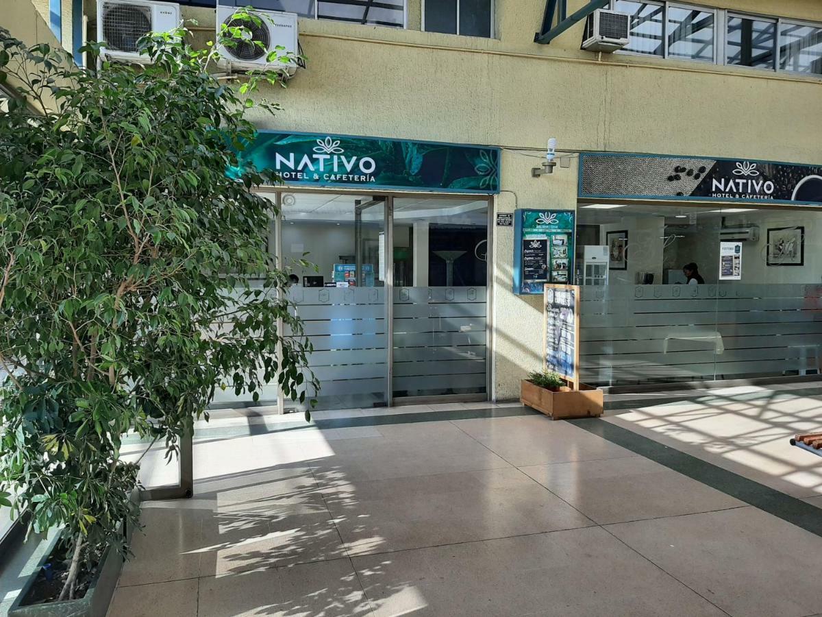 טלקה Nativo Hotel Y Cafeteria מראה חיצוני תמונה