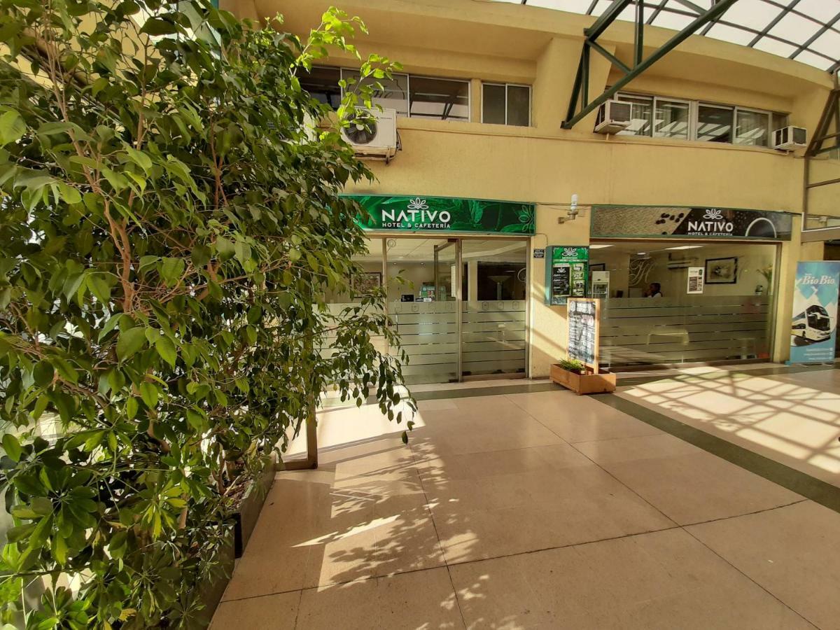 טלקה Nativo Hotel Y Cafeteria מראה חיצוני תמונה