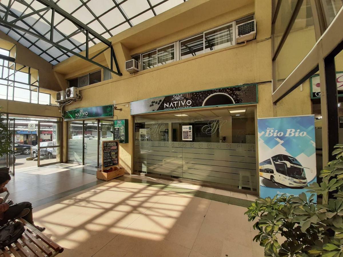טלקה Nativo Hotel Y Cafeteria מראה חיצוני תמונה